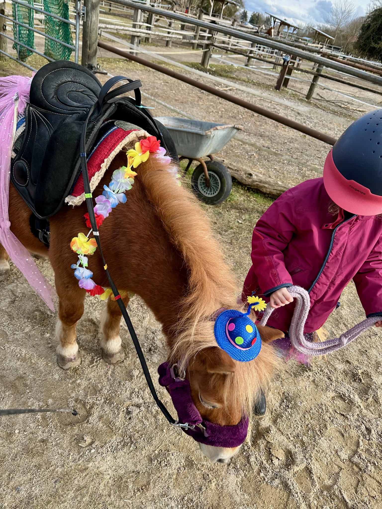 Unsere Reitkurse